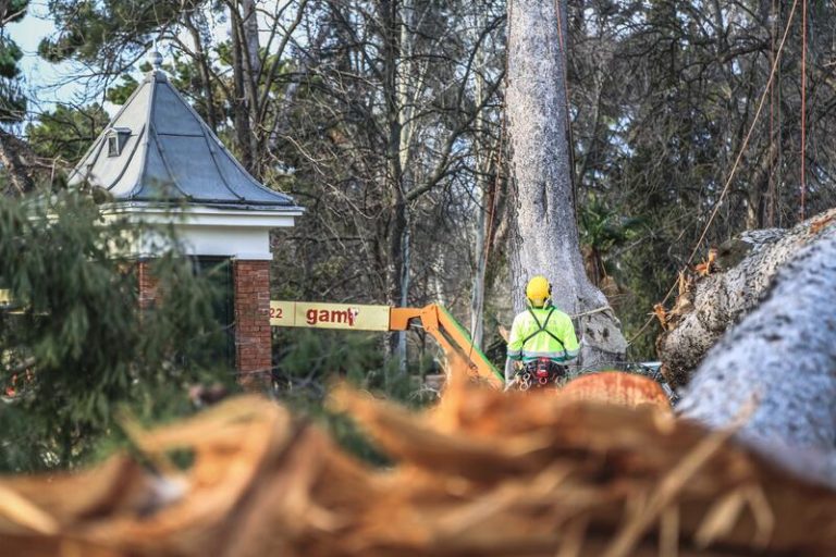 Madrid reabre el 40% del parque de El Retiro
