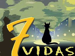 Día Internacional del Gato: las evidencias científicas de por qué tienen 7 vidas