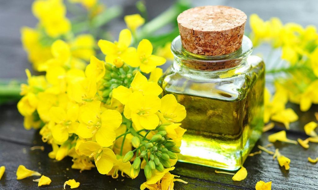 Aceite de canola o de colza