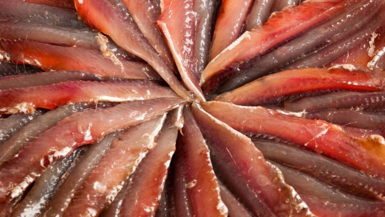 Anchoas: estas son las mejores de súper