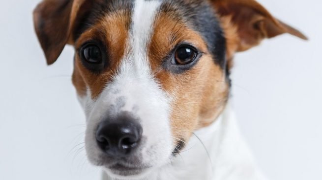 ¿De qué trata este experimento?