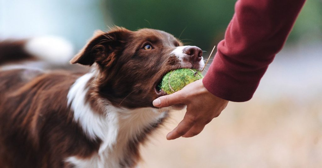 Llevando la teoría a la práctica