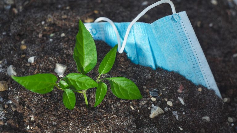 El cambio climático pudo jugar un papel directo en la aparición del SARS-CoV-2