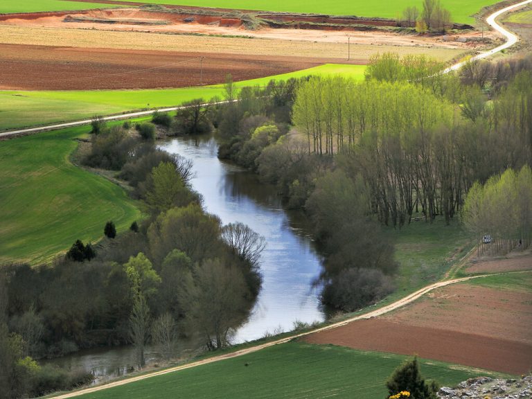Cómo seguir los pasos del Cid en cinco paradas imprescindibles