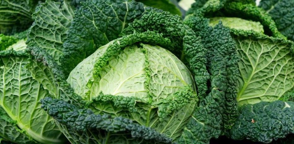 Cocido montañés: el plato tradicional típico de Cantabria que puedes hacer en tu casa 4 Ingredientes: