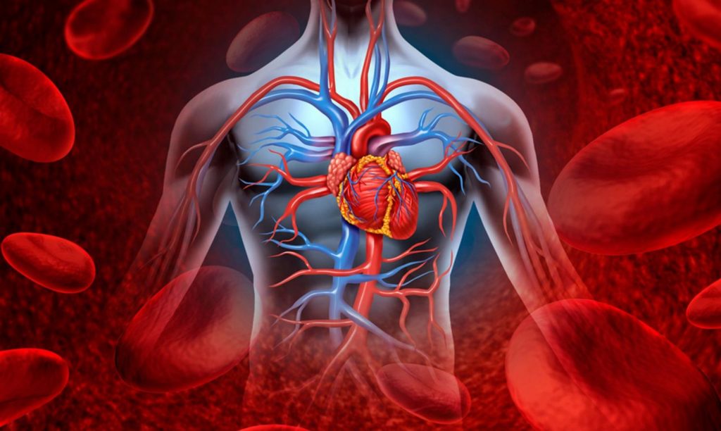 Combate la anemia chorizo