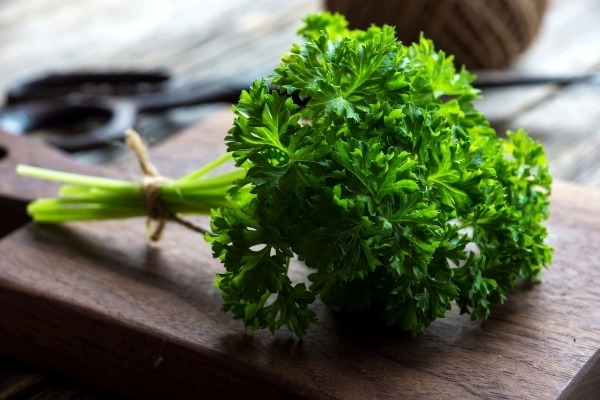 El perejil