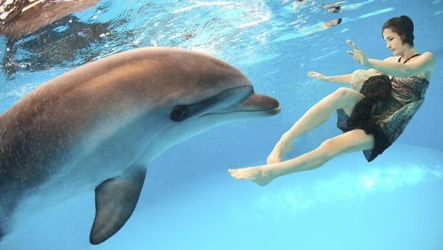 Dieta del delfín: así puedes deshacerte de un montón de kilos bebiendo agua de mar