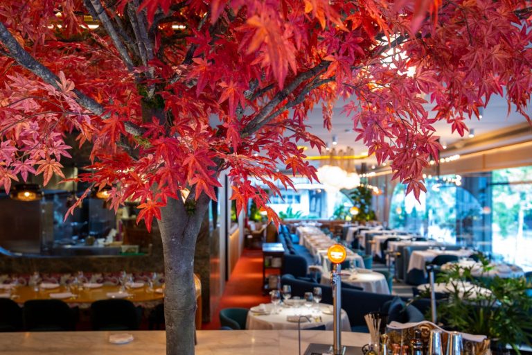 De canelones a medusas: Don Lay amplía su carta con sofisticadas elaboraciones