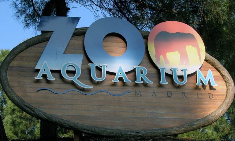 El Zoo Aquarium de Madrid abre sus puertas tras un mes de mantenimiento