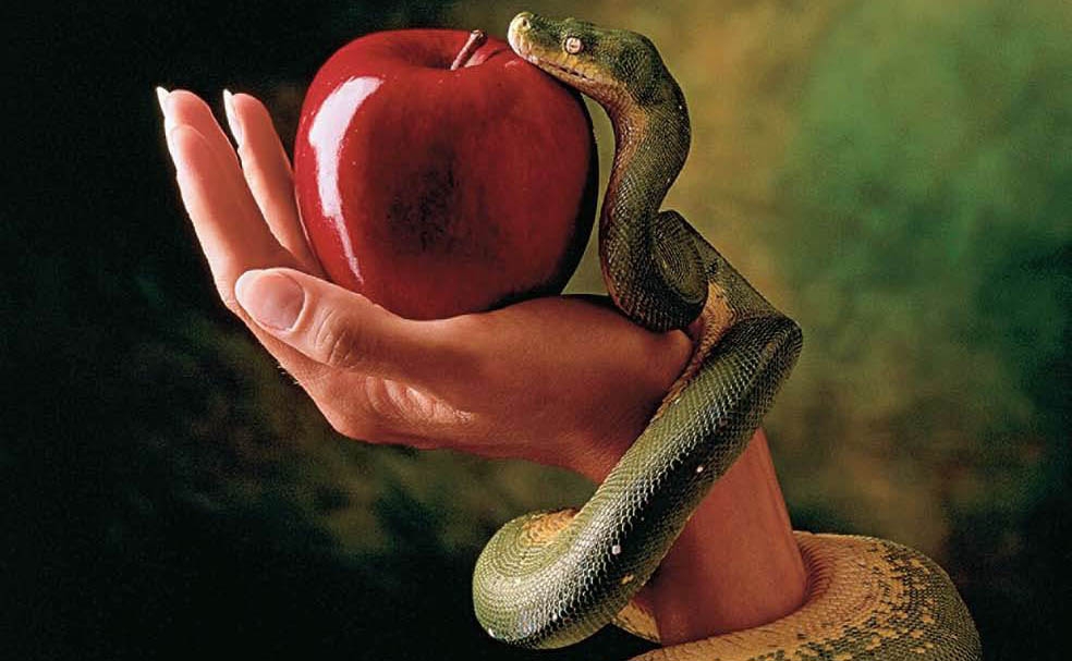 El origen del pecado