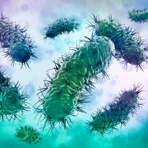 Foco de bacterias ignorado por muchos