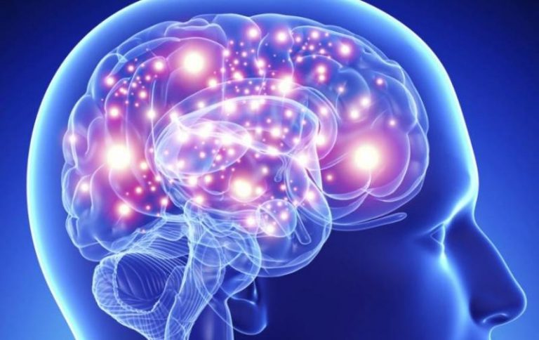 Esto es lo que le pasa a tu cerebro cuando te has enamorado