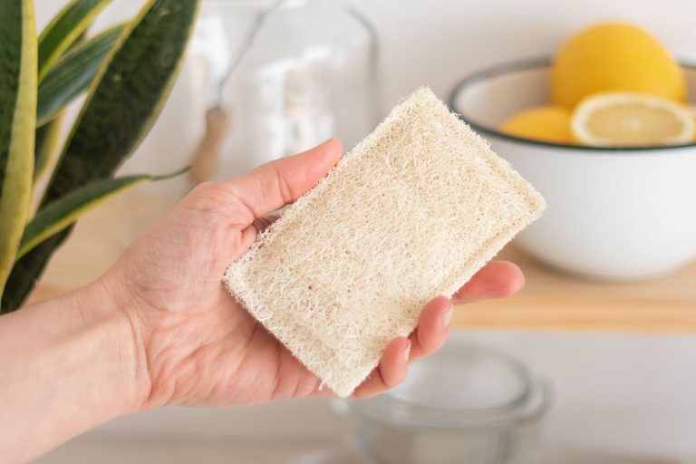 Estropajos: usos raros que puedes darle y que son muy útiles