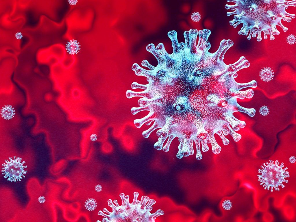 Estudio de la universidad de Sao Paulo sobre la melatonina