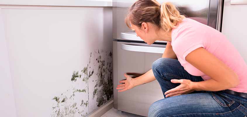 Cómo eliminar el moho de tu casa 172 Evitar que el moho regrese