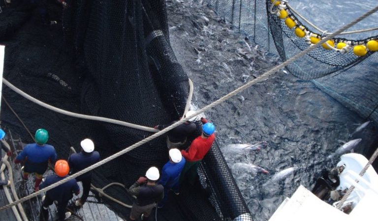 La flota atunera pide la vacunación prioritaria de sus tripulantes