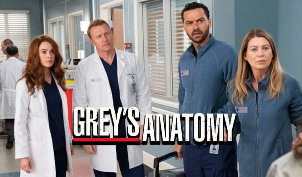 Disney+: fecha de estreno de la temporada 17 de Anatomía de Grey 144 La importancia de Star en esta nueva temporada de Anatomía de Grey