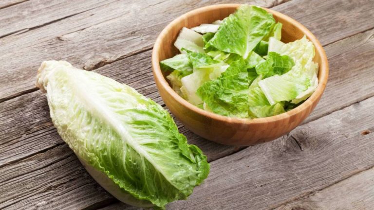 Los 6 pasos para lavar la lechuga correctamente que reducen las bacterias y evitan la contaminación cruzada