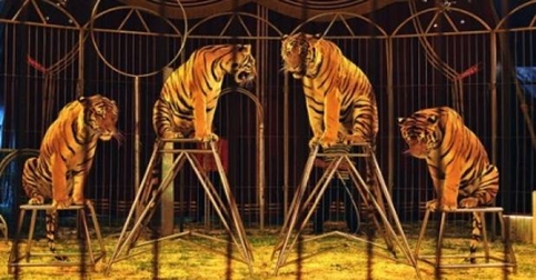 Los 10 trabajos mejor pagados (y que nadie quiere) 10