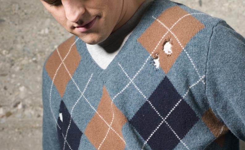 Los insectos agujeros ropa 