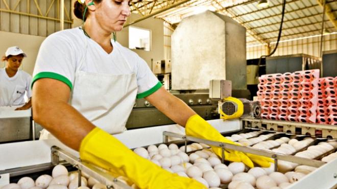 Qué es APPCC 3 Los siete principios del APPCC