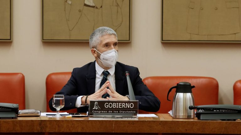 Interior cree que la crisis migratoria de Canarias no fue por 