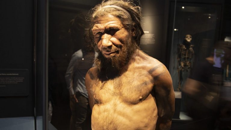 Neandertales y Humanos modernos usaron la misma tecnología