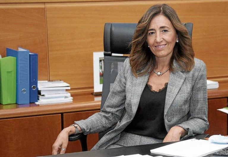 Gobierno Vasco analiza la viabilidad de una ley antipandemia