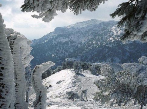 Parque Nacional de las Nieves