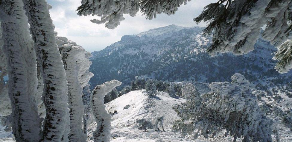 Parque Nacional de las Nieves