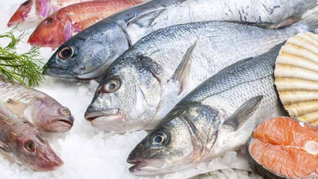 pescado