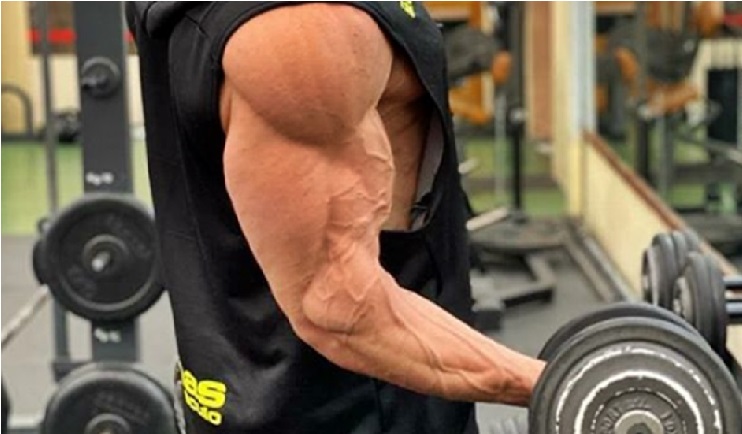 Qué es la hipertrofia muscular 123 Por qué es importante determinar el 1RM