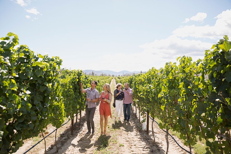 Qué es el enoturismo