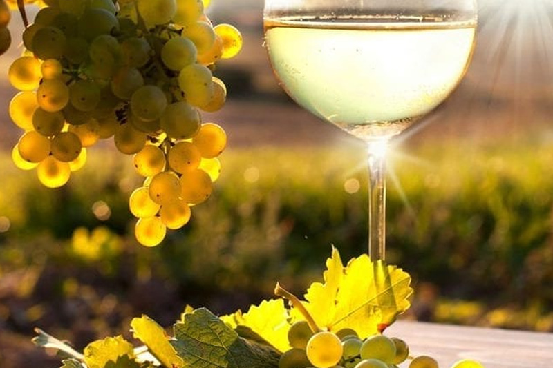 Qué es el enoturismo