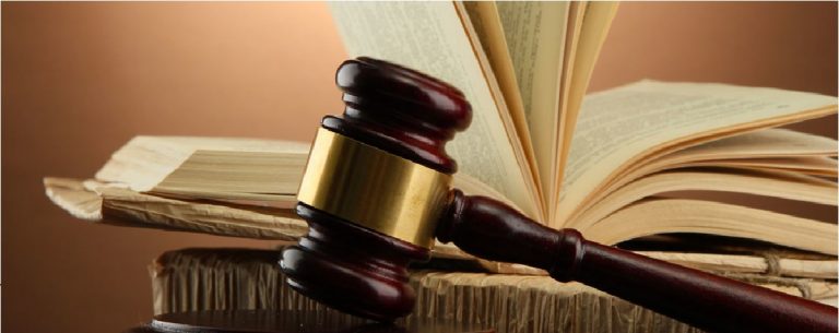 Qué es el poder ejecutivo