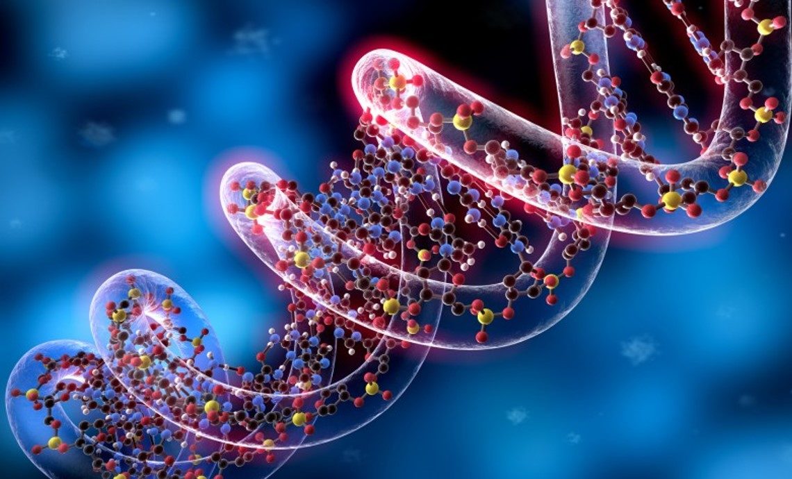 Qué es la epigenética