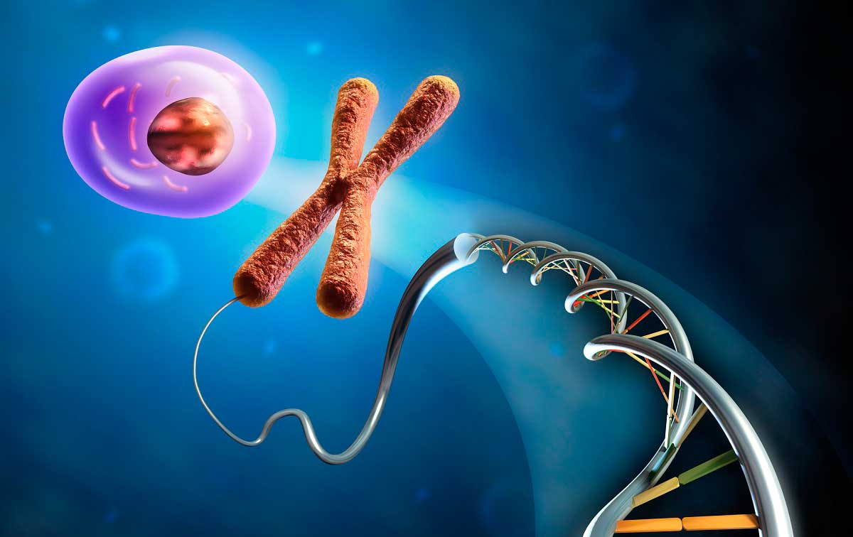 Qué es la epigenética