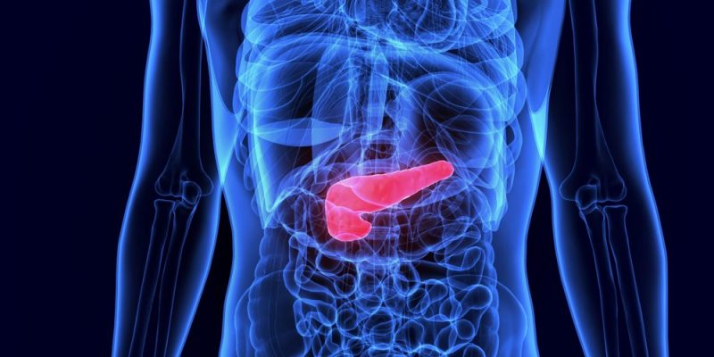 ¿Qué es el sistema endocrino?