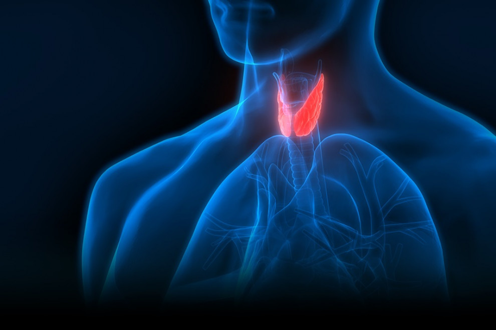 ¿Cuáles son las enfermedades que pueden producir las hormonas?