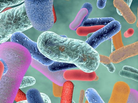 Qué es una bacteria 1 Qué es una bacteria