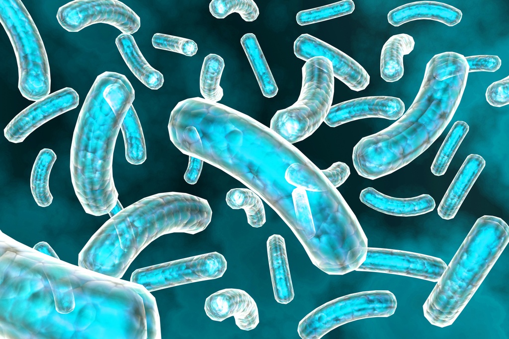 Qué es una bacteria 7 ¿Dónde viven las bacterias?