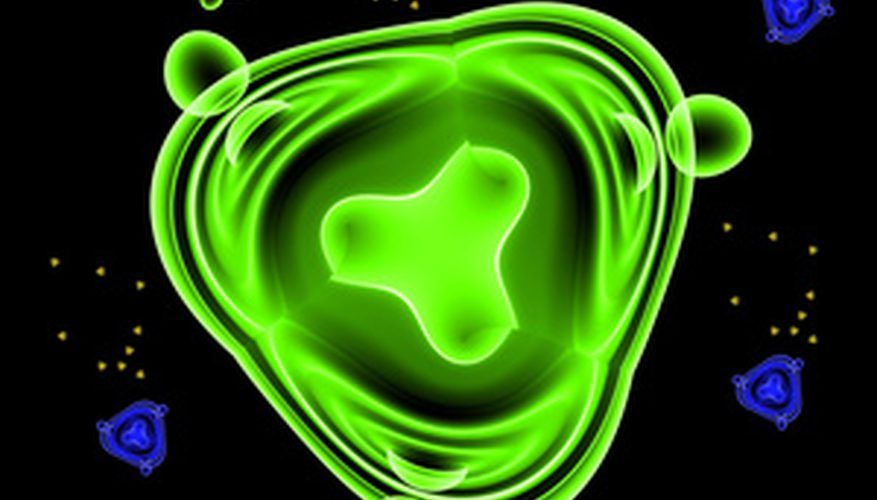 Qué es una bacteria 8 ¿Se han descubierto todas?