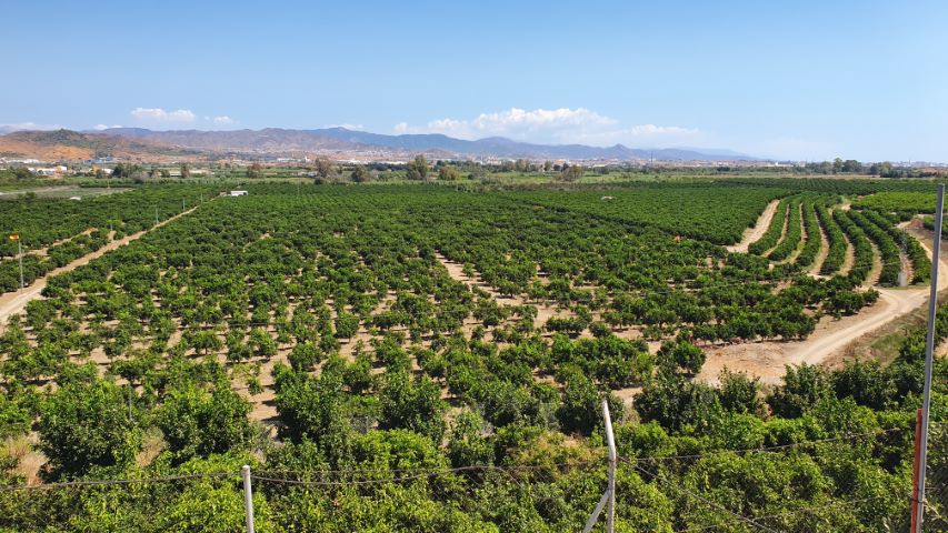 Qué es una vega 1 Importancia