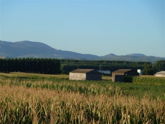 Qué es una vega 2 La acepción en Sudamérica