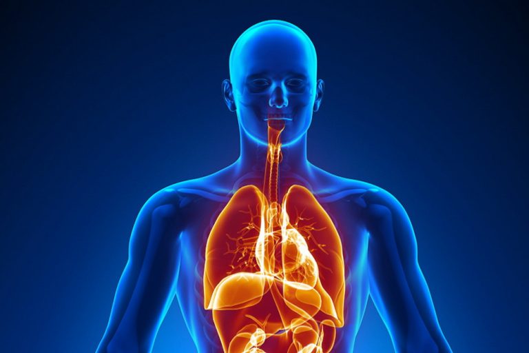 Qué pasa si tengo un exceso de hierro en el cuerpo