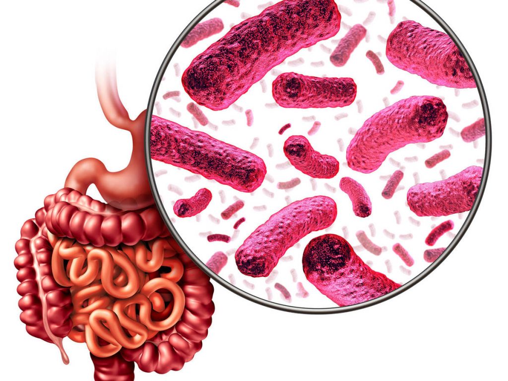 Los motivos por los que no debes usar moldes de silicona en tus recetas 138 Riesgos inminentes con los ftalatos recetas