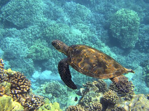 Santander for the Seas