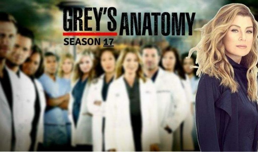 Disney+: fecha de estreno de la temporada 17 de Anatomía de Grey 148 Temporadas disponibles anatomía de grey disney+