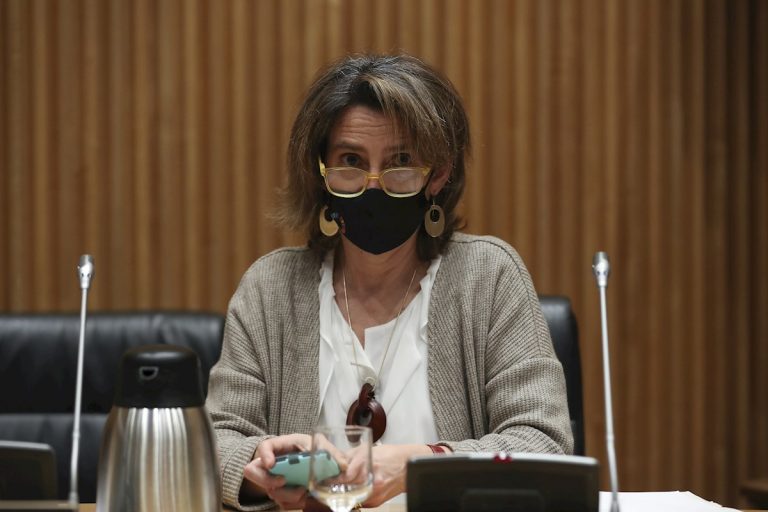 El Gobierno se compromete a crear los puestos de trabajo perdidos por el cierre de central térmica